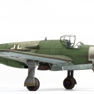 Dornier Do 335A-1 by Oliver Peissl